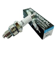 BUJİ MARSHALL MOBY-PEJO ( B6TC).