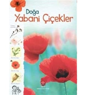Doğa-Yabani Çiçekler