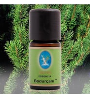 Nuka Defne Bodur Çam Yağı 5 Ml Aromatik Cilt Bakım Nuka Yağ