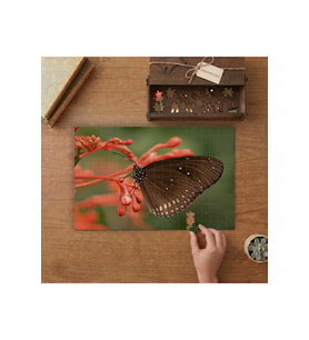 Siyah Kelebek Tasarımı 240 parça Ahşap Puzzle Ahşap Kutuda MP05474