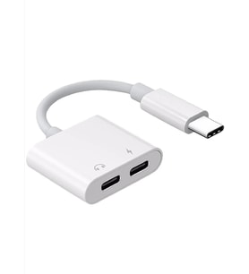 pilelistore ZR293 Ftac42 Type-C 2 İn 1 Converter Adaptör