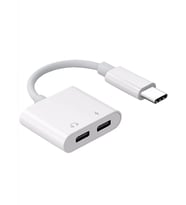 pilelistore ZR293 Ftac42 Type-C 2 İn 1 Converter Adaptör