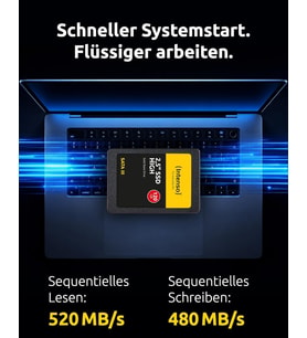 SSD 2.5 inç SATA 3 120 GB, Siyah