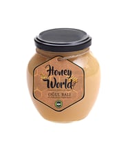 Honey World Organik Oğul Balı Süzme Çiçek Krem Balı 470 Gr
