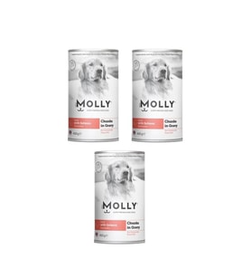 Molly Konserve Yetişkin Köpek Soslu Somonlu 400 Gr (3 Adet) (Beyaz)