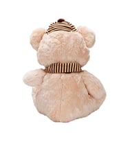1001521 PELUŞ AYI OTURAN ŞAPKALI ATKILI 50CM 2R (adet fiyatıdır)