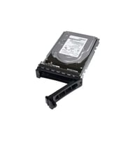 SEAGATE 3.5" 1TB 161-BBZW 7200 RPM Enterprise Sata-3 Nas ve Güvenlik Diski