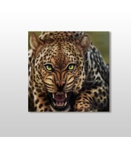 LEOPAR KANVAS TABLO 60x60cm (Karışık)