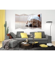 KÖPEK MDF TABLO-2647 MODEL-B