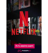 Netflix Hediye Kartı 75 TL