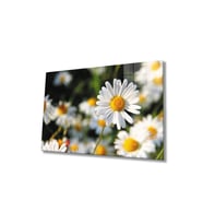 Miyrem Glasses Collection -A1^#  Papatya Çiçek Cam Tablo, Cam Tablo (Çok Renkli)
