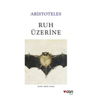 Ruh Üzerine