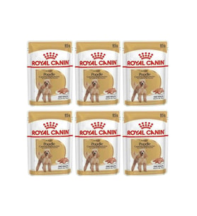 Royal Canin Adult Poodle Caniche Tüy Sagligi Destekleyici Yetiskin Köpek Konserv (Kahverengi)