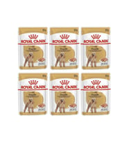 Royal Canin Adult Poodle Caniche Tüy Sagligi Destekleyici Yetiskin Köpek Konserv (Kahverengi)
