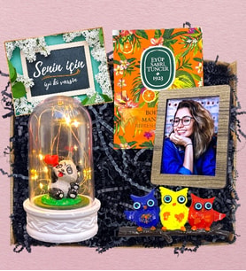 Fotoğraf, Baykuş Magnet, Islak Mendil & Işıklı Pandalı Fanus  Premium Set