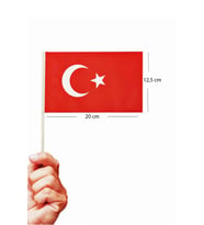 Küçük Boy Çıtalı Bayrak Türk Bayraklı Çıtalı Bayrak - 10 Adet
