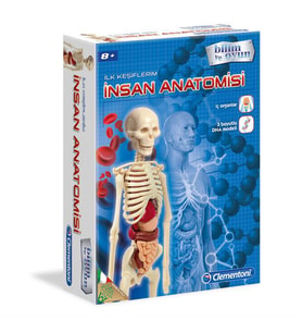 Clementoni İlk Keşiflerim İnsan Anatomisi 64297