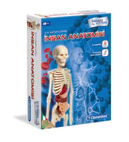 Clementoni İlk Keşiflerim İnsan Anatomisi 64297