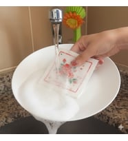 Suda Büyüyen Sünger