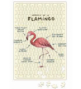Bir Flamingo Anatomisi Puzzle 240 Parça Yapboz
