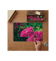 Pembe Begonviller Tasarımı 240 parça Ahşap Puzzle Ahşap Kutuda MP07064