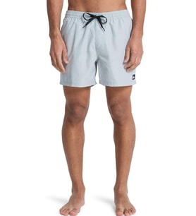Quiksilver Everyday 15 Erkek Deniz Şortu