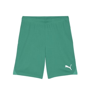 Puma Teamgoal Shorts Erkek Futbol Antrenman Şortu 70575205 Yeşil