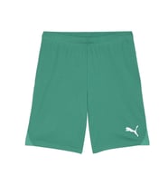 Puma Teamgoal Shorts Erkek Futbol Antrenman Şortu 70575205 Yeşil