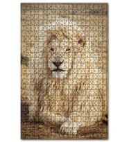 Cakapuzzle Sarı Tüylü Erkek Aslan Puzzle Yapboz MDF (Ahşap) (120 Parça)