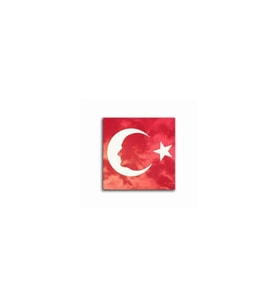 DBSanatevi Türk Bayrağı ve Atatürk Tablo 50 X 70 cm