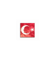 DBSanatevi Türk Bayrağı ve Atatürk Tablo 50 X 70 cm