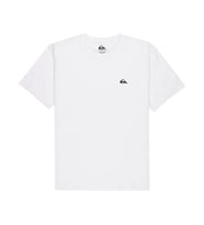 Quiksilver BASIC SS TEE YOUNG MEN Beyaz Erkek T-Shirt EQYZT07711-908