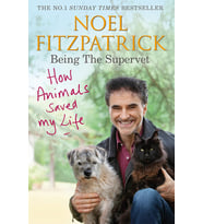 How Animals Saved My Life: Being the Supervet: The perfect gift for animal lovers