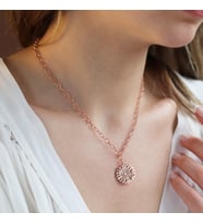 Özel Tasarım Rose Gold Kaplama Zirkon Taşlı Trend Gümüş Kolye