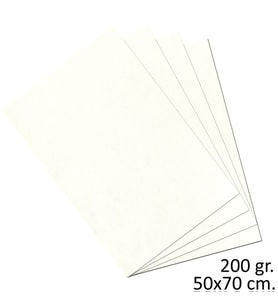 Alex Schoeller Teknik Resim Kağıdı 200 gr. 50x70 cm. 10 Adet 