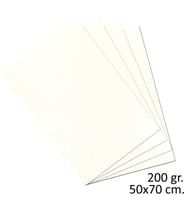 Alex Schoeller Teknik Resim Kağıdı 200 gr. 50x70 cm. 10 Adet 