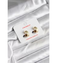 14K Gold Renk Kaplama CM Kadın Küpe - TJ-BKP11413