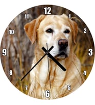 Cakatablo Kuru Otların Arasındaki Labrador Duvar Saati