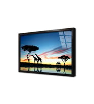 Safari Çerçeveli Cam Tablo