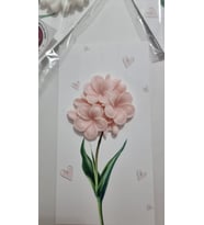 Papatya Mum Hediyelik Kartı -10 lu (Çiçek Pembe)