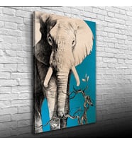 Yalnız Fil Kanvas Tablo 50 x 70
