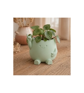 Alvera Smiley Face Planter – 3D Baskı Gülümseyen Karakterli Saksı-Mint