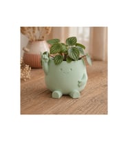 Alvera Smiley Face Planter – 3D Baskı Gülümseyen Karakterli Saksı-Mint