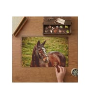 Kahverengi Asil At-Hayvan Tasarımı 240 parça Ahşap Puzzle Ahşap Kutuda MP00062