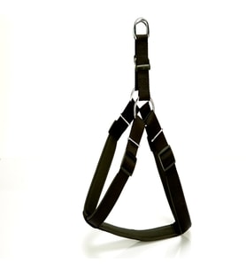 Bel Tasması 70Cm Large Siyah