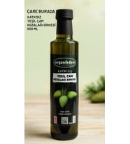 Katkısız Yeşil Kozalak Sirkesi 500 Ml
