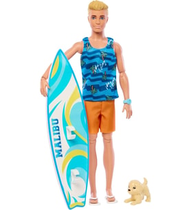  Barbie Ken Sörf Yapıyor Oyun Seti Hpt50 (Çok Renkli)