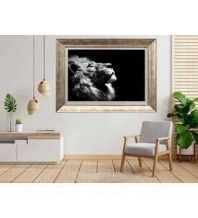 Gümüş Çerçeveli Tablo nb1755