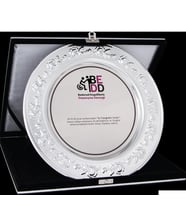 ODAK KUPA - Tabak Plaketler - UK-010 A - 30 cm