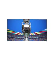 Euro 2024 Cup Gümüş Renk (GERÇEK BOYUT) 1 Kg